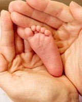 №274899 - оригинал