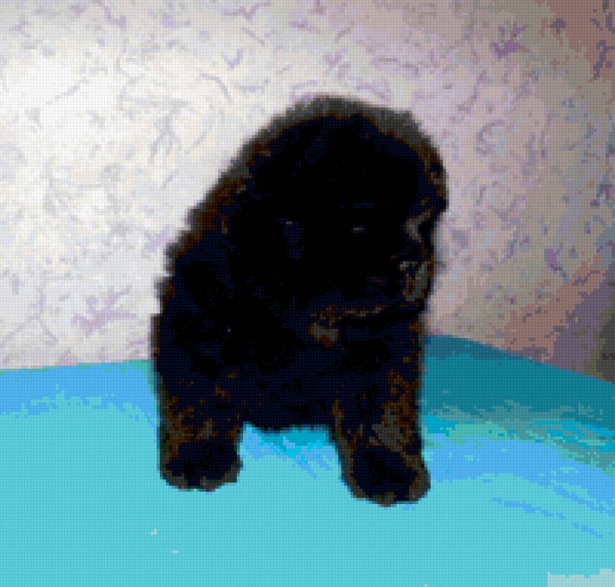 Нюша маленькая - предпросмотр