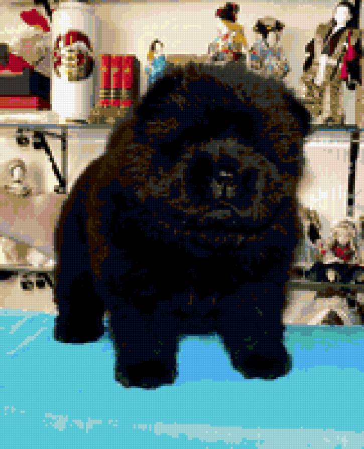 Нюша на бирюзовом - предпросмотр