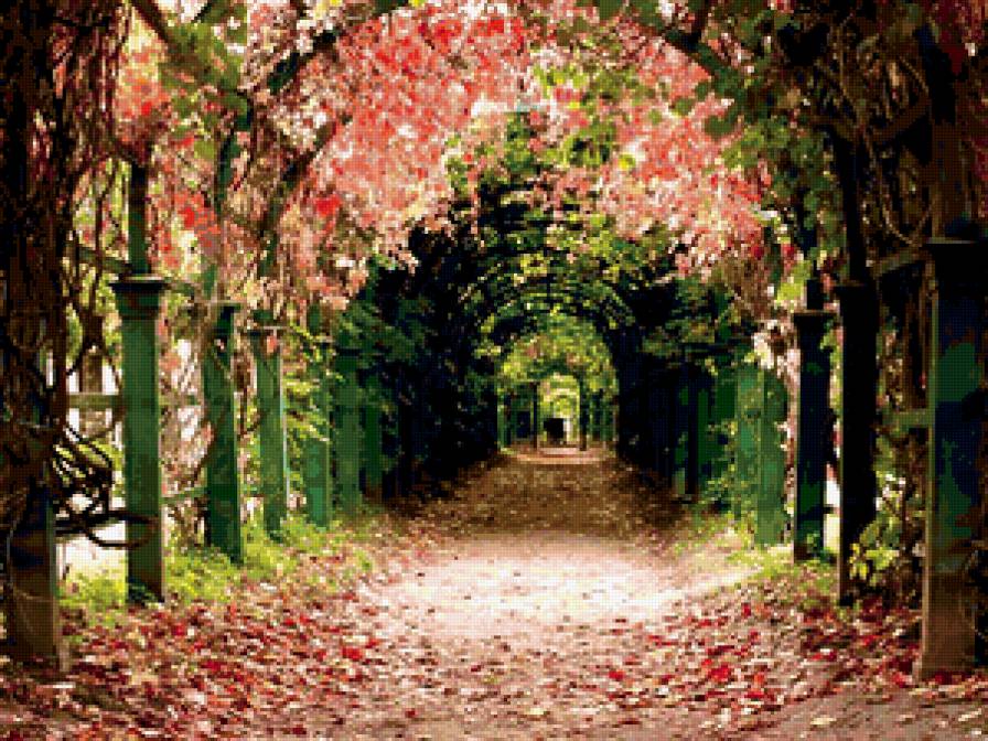 ЦВЕТОЧНАЯ АРКА - цветы - предпросмотр