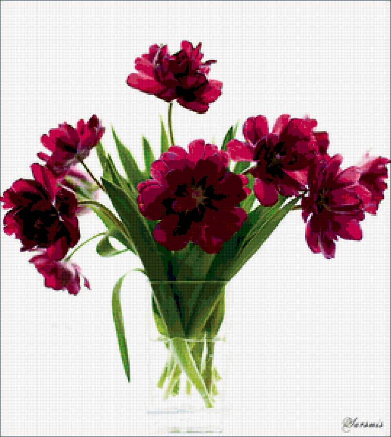 тюльпаны - тюльпаны, букет - предпросмотр