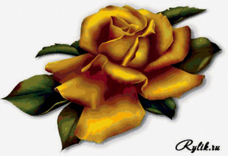 Желтая роза - роза - предпросмотр