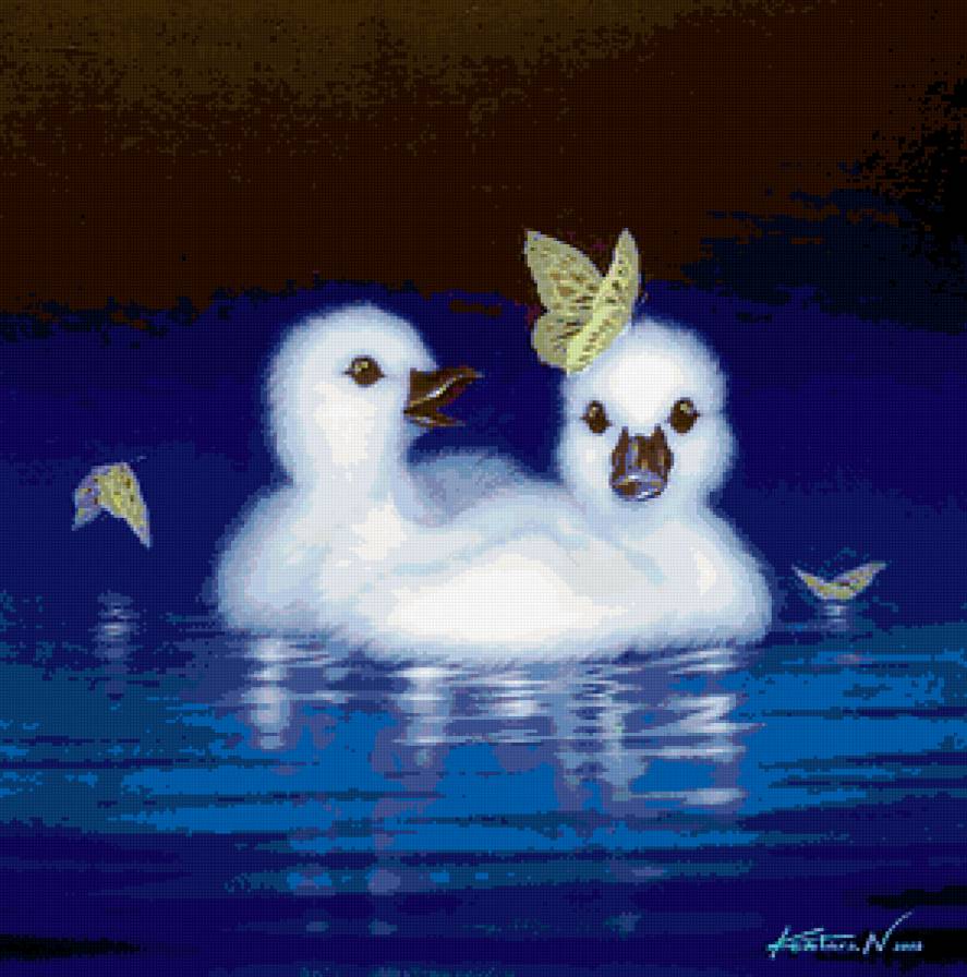 Утята - птицы - предпросмотр