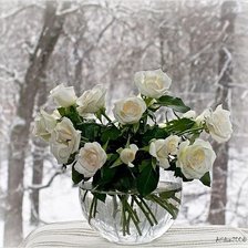 Схема вышивки «№275415»