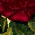 Предпросмотр схемы вышивки «красные розы» (№275444)