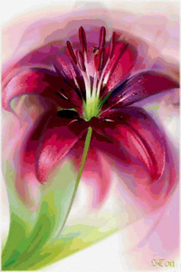 цветок - цветок - предпросмотр