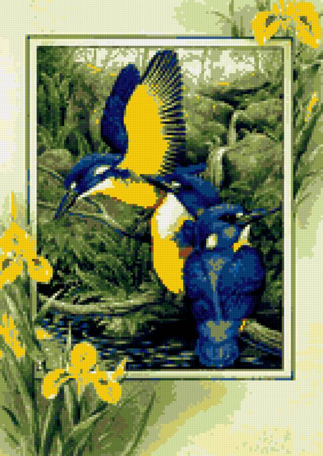 птички - предпросмотр