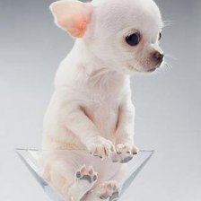 Схема вышивки «№275505»