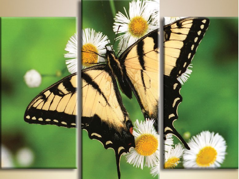 №275577 - оригинал