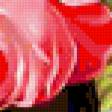 Предпросмотр схемы вышивки «Розы и ромашки» (№275599)