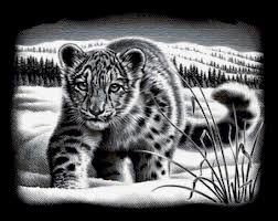 крадущийся - черно-белые, животные, дикие животные - оригинал