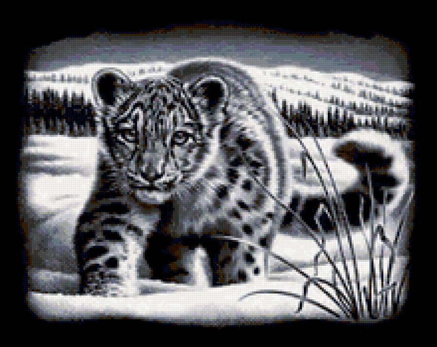 крадущийся - животные, дикие животные, черно-белые - предпросмотр