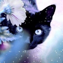 Схема вышивки «кошка»