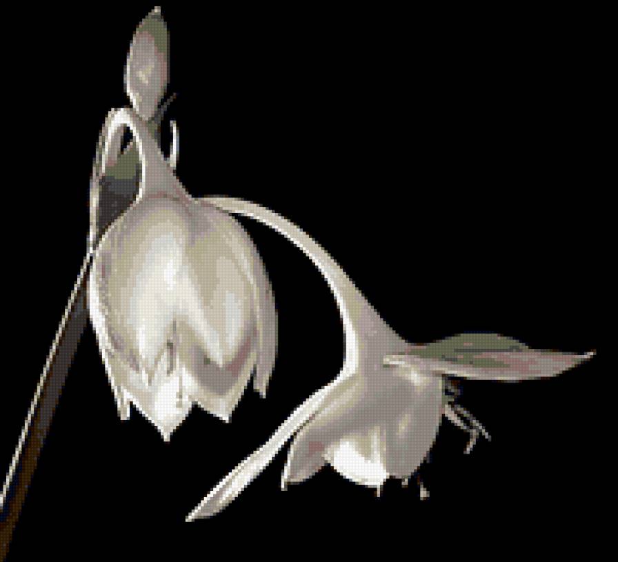 №275855 - предпросмотр