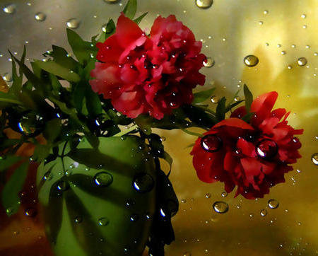 пионы - оригинал