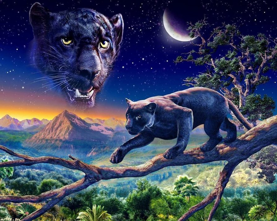 №275869 - пантера, ночь, звери - оригинал