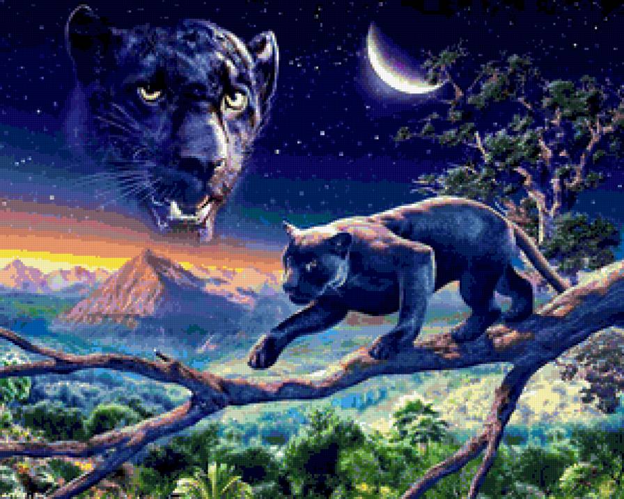 №275869 - ночь, пантера, звери - предпросмотр