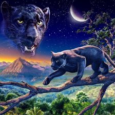 Схема вышивки «№275869»