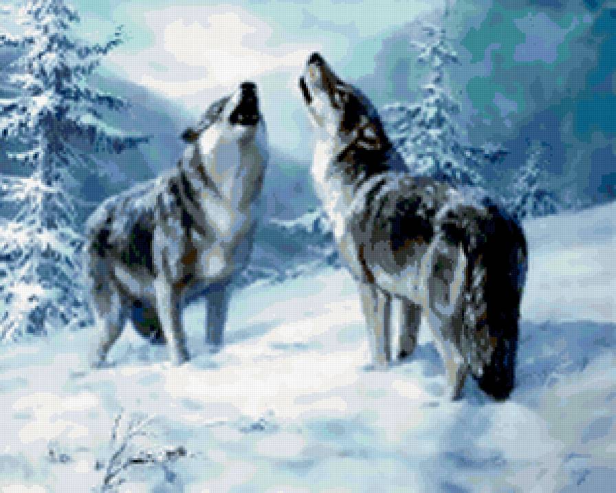 №276007 - животные - предпросмотр