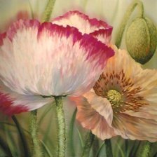 Схема вышивки «Серия "Букет"»