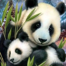 Семья панды