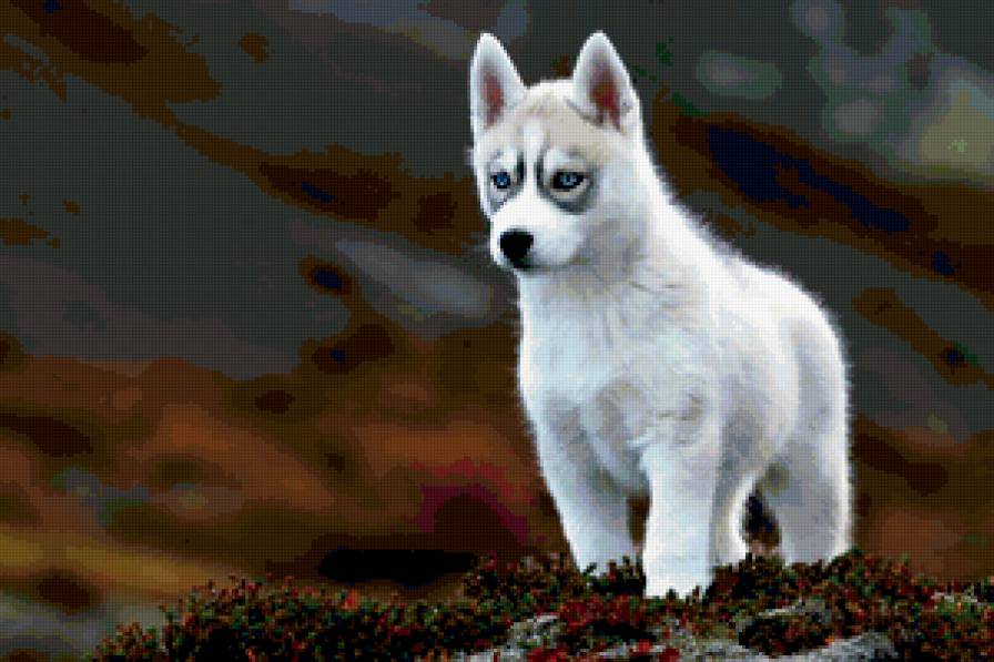 Щенок - собака - предпросмотр