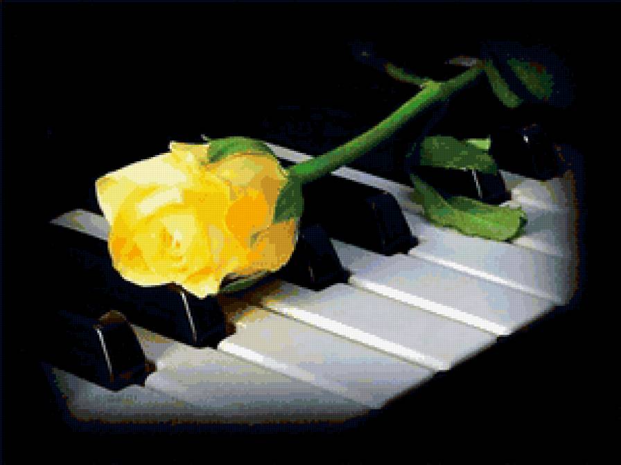 Желтая роза - роза - предпросмотр