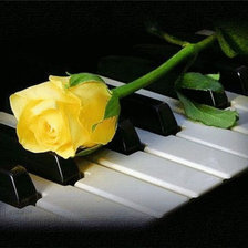 Схема вышивки «Желтая роза»