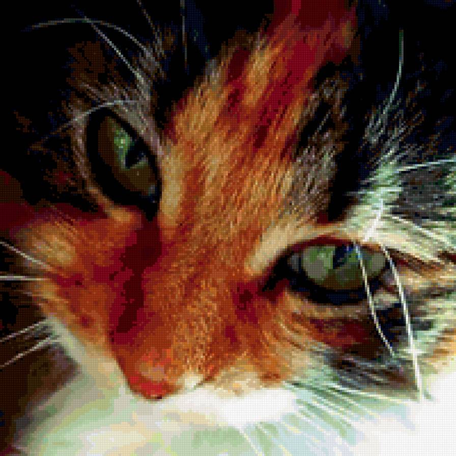 котя - предпросмотр