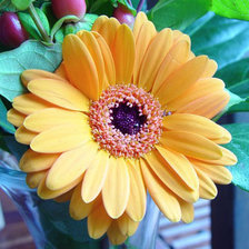 Схема вышивки «Цветок»