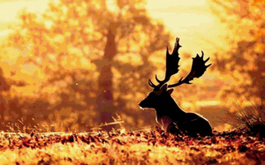 Лось - животные, лось - предпросмотр