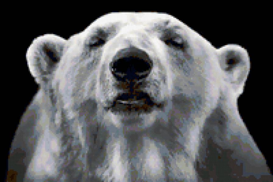 фнш - предпросмотр