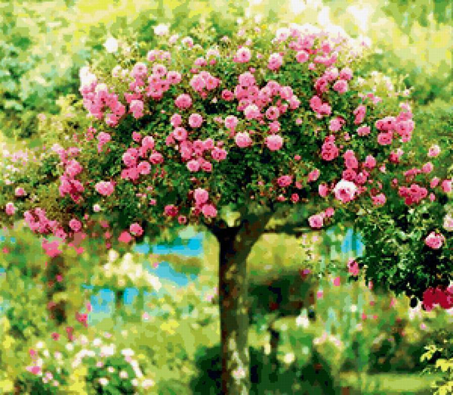 Дерево в цвету - природа, растения - предпросмотр
