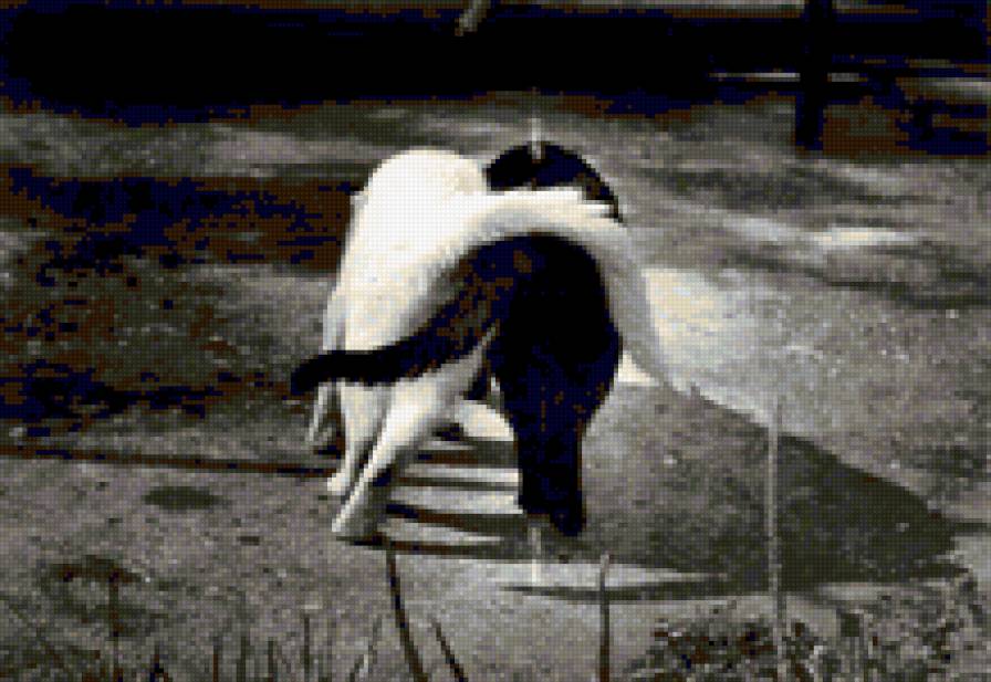 №276654 - предпросмотр