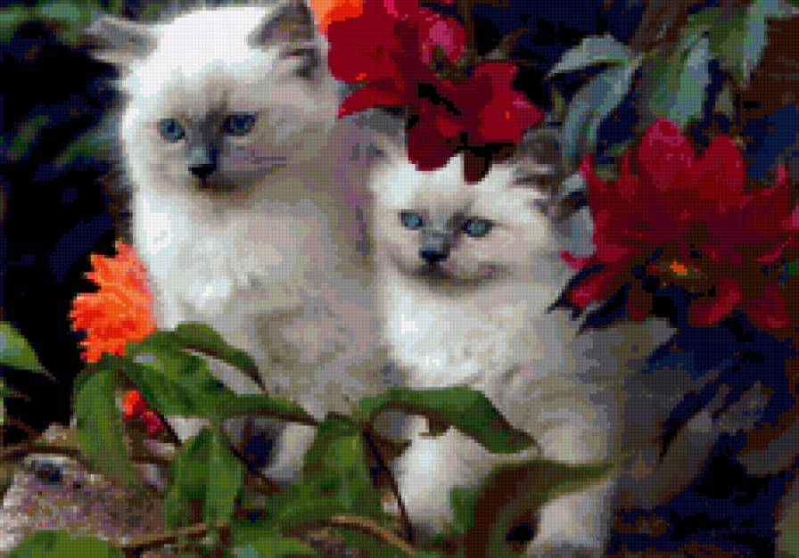 №276658 - предпросмотр