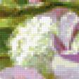 Предпросмотр схемы вышивки «Розовые ирисы» (№276703)