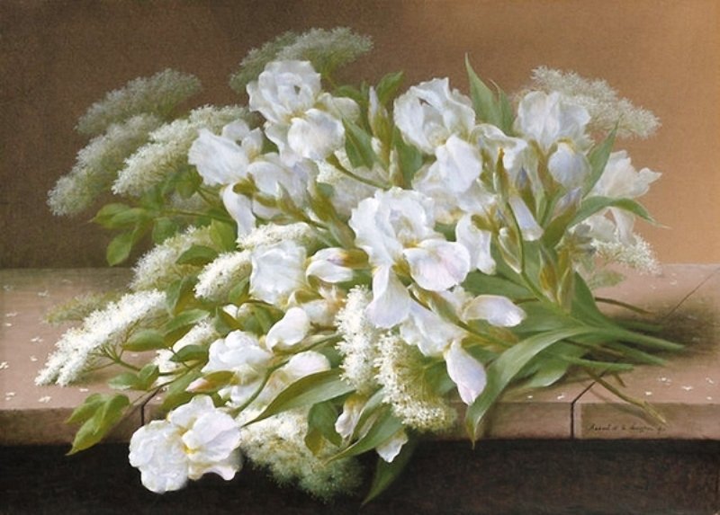 Белые ирисы - букет, цветы, ирисы - оригинал