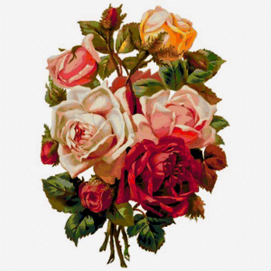 букет роз - предпросмотр