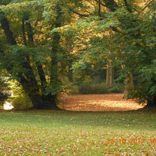 Схема вышивки «осень»