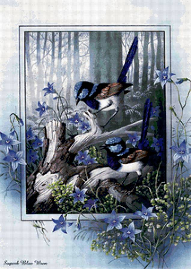 птички - предпросмотр