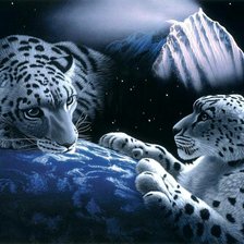 Схема вышивки «Снежный барс»