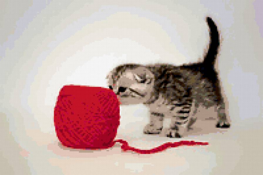 котенок с клубком - предпросмотр