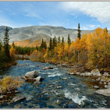 Схема вышивки «пейзаж»