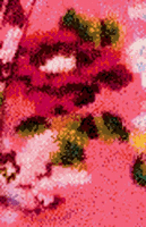 KENSO - kenso.розы - предпросмотр