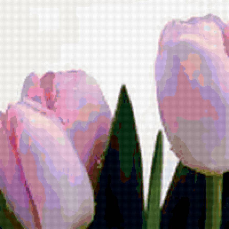 тюльпаны - цветы - предпросмотр