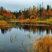 Схема вышивки «пейзаж»