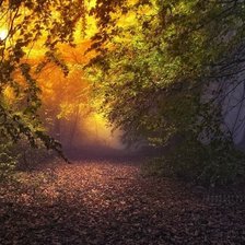 Схема вышивки «Таинственный лес»