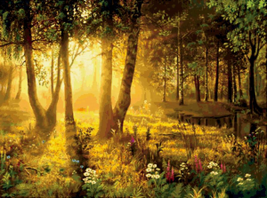 солнечный лес - пейзаж - предпросмотр