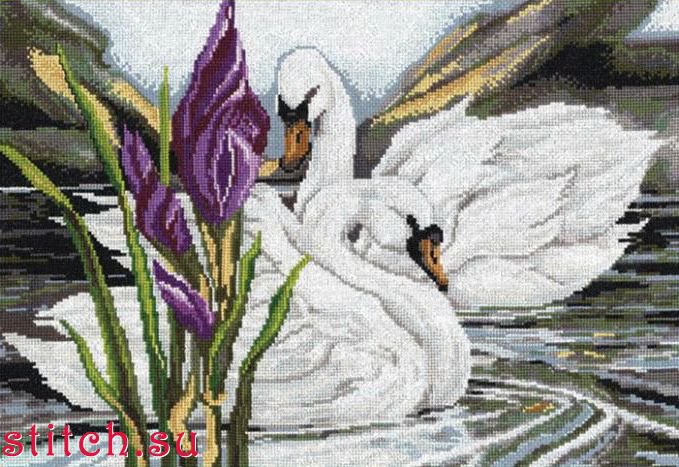 лебеди - птицы - оригинал