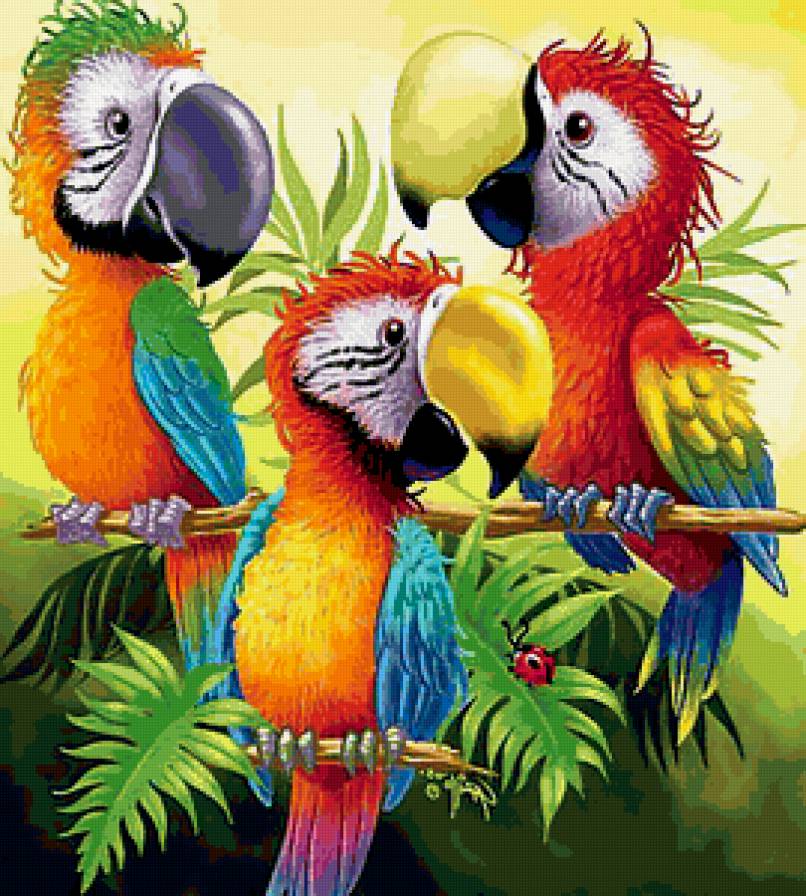 Дружная семейка - птицы, попугаи, картина - предпросмотр